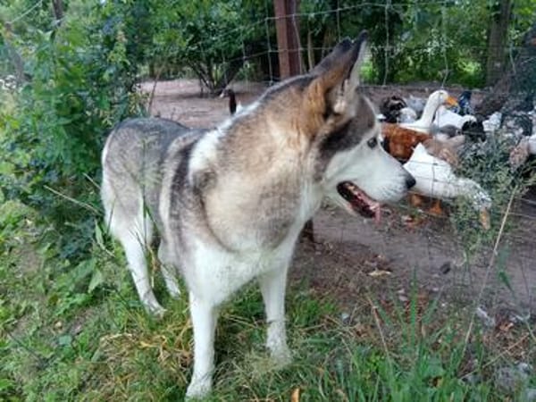ARYA-WARTET AUF IHR HAPPY END