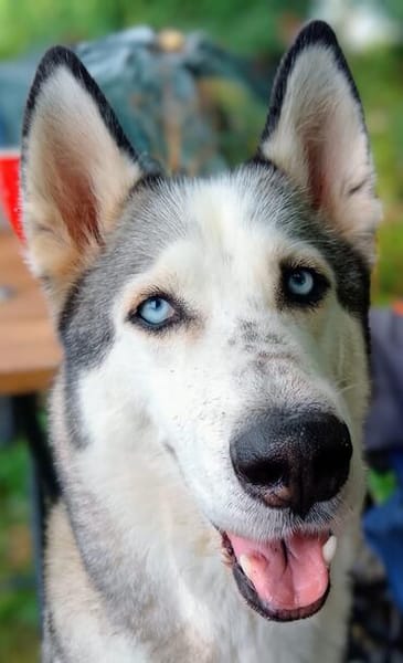 ARYA-WARTET AUF IHR HAPPY END