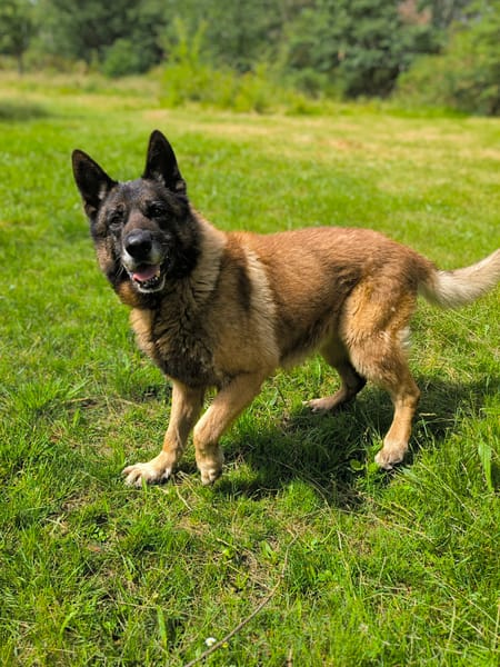 REX
