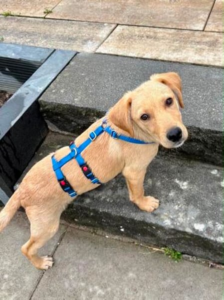 Baby Samson blüht vor Lebensfreude