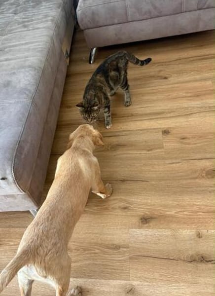 Baby Samson blüht vor Lebensfreude