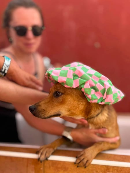 TACO (Maria)