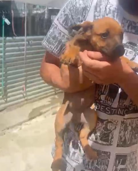 DORA (Maria)
