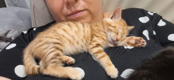 NALA