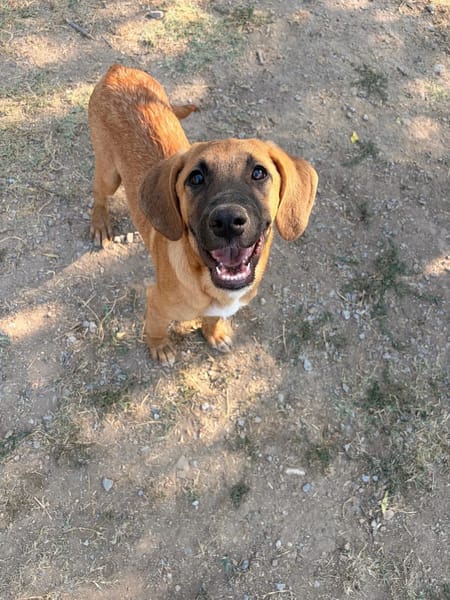 Lailo