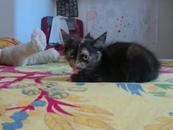 SALLY
