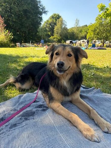 Buzz sucht ein geduldiges Zuhause