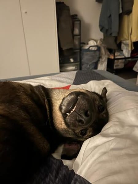 Kassandra auf der Suche nach ihrem Herzensmenschen