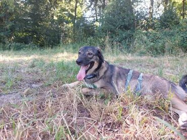 Kassandra auf der Suche nach ihrem Herzensmenschen