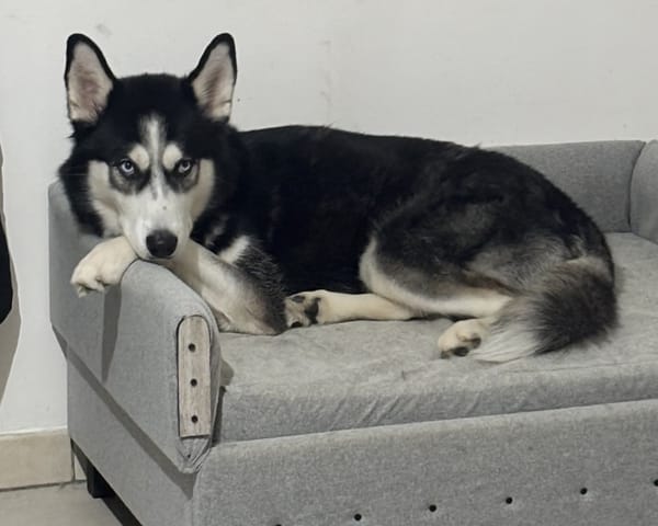 YUKI