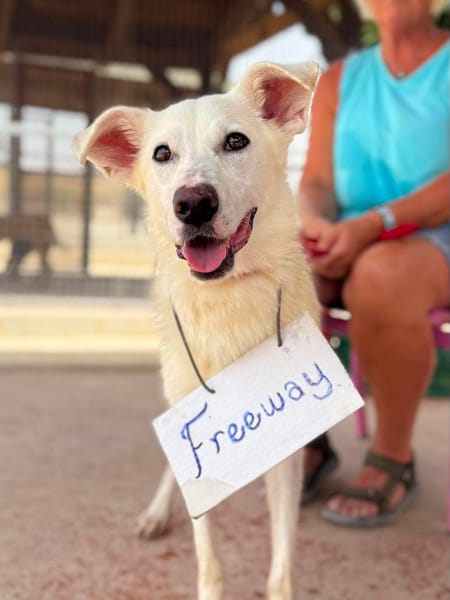 FREEWAY (Maria)