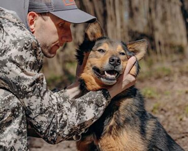 Jerry: Sanft, dezent, lernwillig Hund!