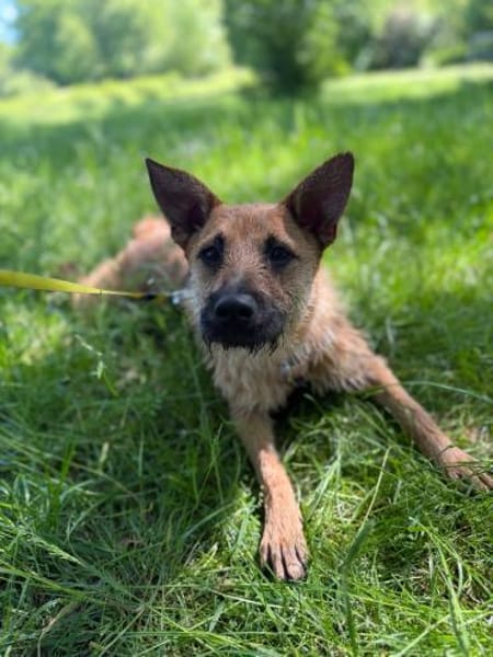 Lusy-Kleine Entdeckerin, 8 Monate alt,