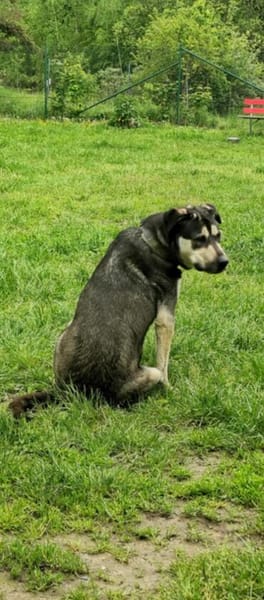 Fizz - sensibles Mädchen sucht dich