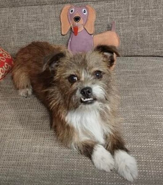 Matilda: kleiner Sonnenschein sucht DICH