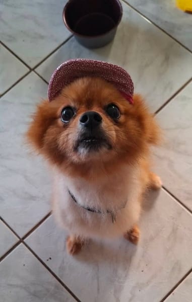 TILOU est craquant !