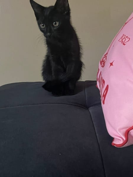 BLACKY