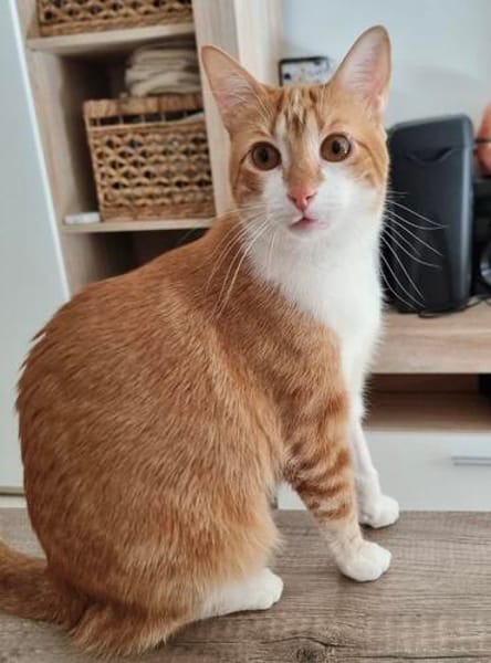 Wanja sucht dich