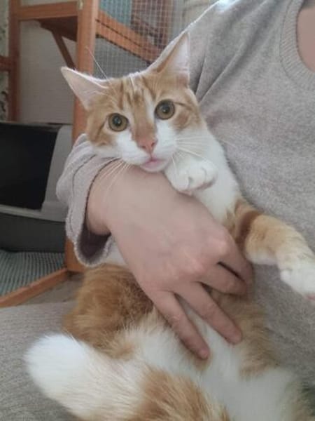 Wanja sucht dich