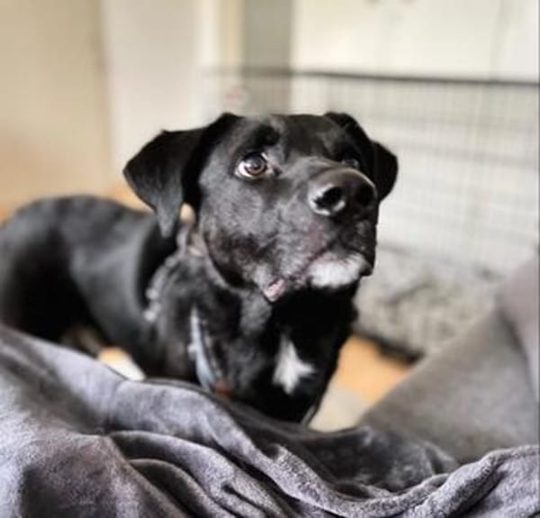 aktiver OREO sucht erfahrene Menschen