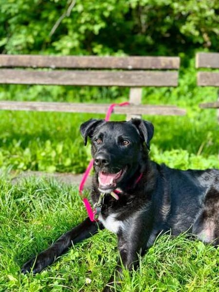 aktiver OREO sucht erfahrene Menschen