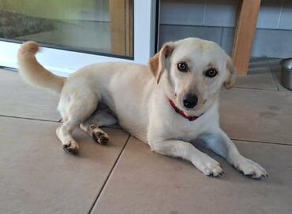 Nelly - super lieb und freundlich