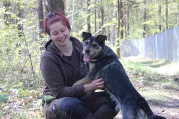 Lupo -Gute Laune Hund-