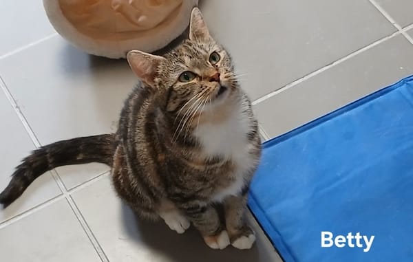 BETTY