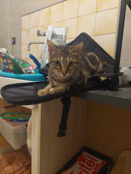 Catimini