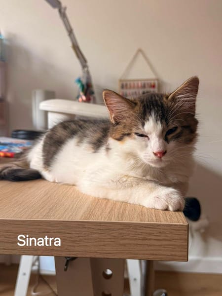 Lennon et Sinatra