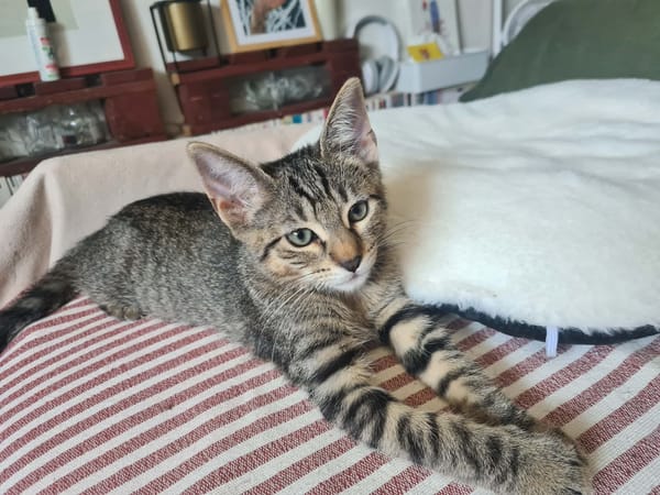 Billy