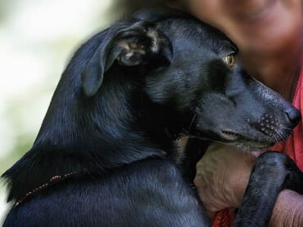 Nerina sucht Familienanschluss