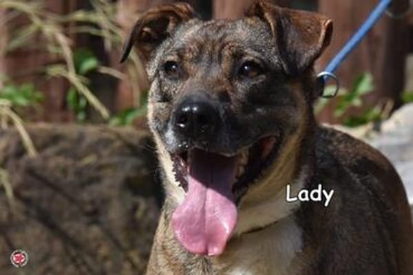 LADY