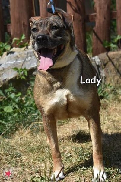 LADY