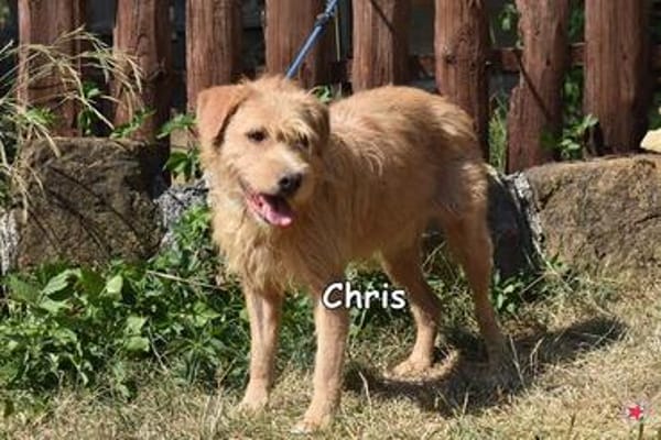 CHRIS