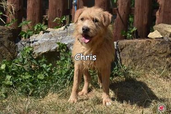 CHRIS