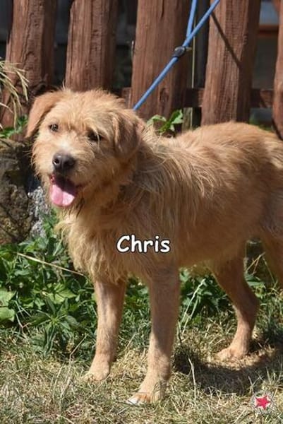 CHRIS