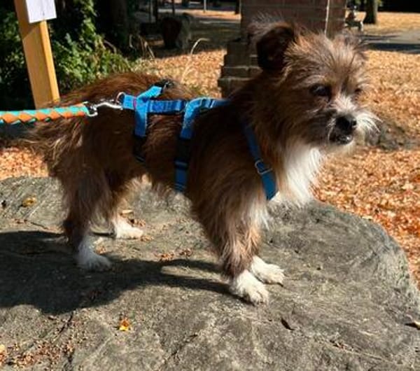 Matilda: kleiner Sonnenschein sucht DICH