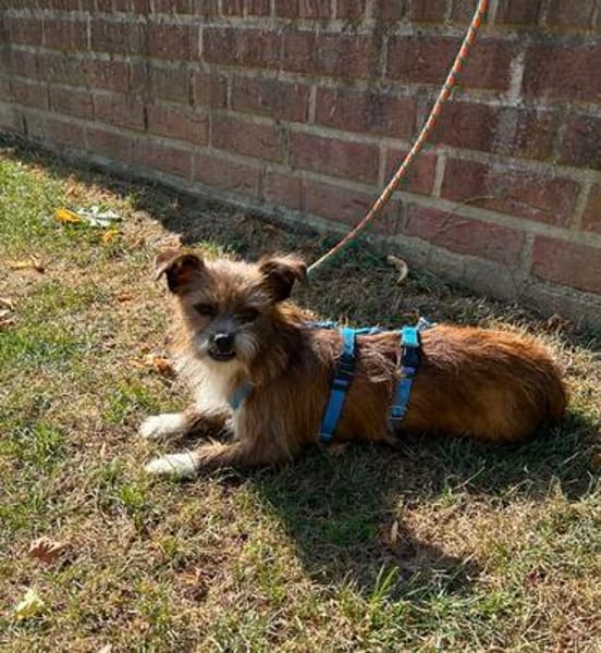 Matilda: kleiner Sonnenschein sucht DICH