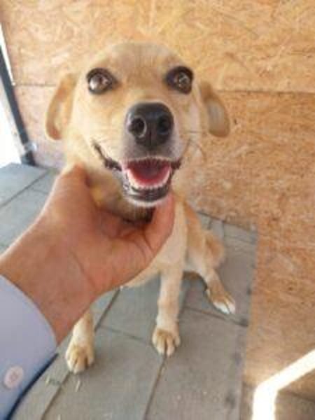 Wally 35 cm (Pflegestelle)