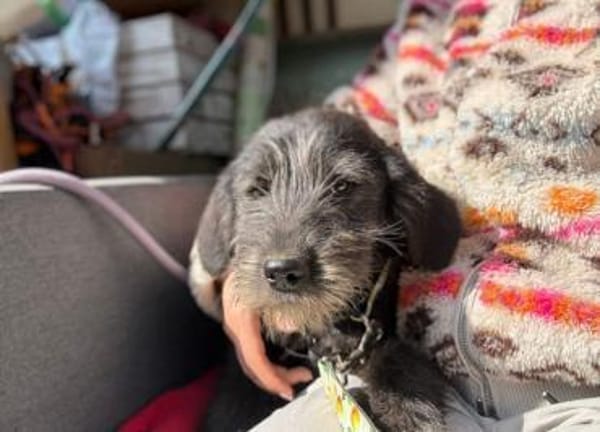 Marnie