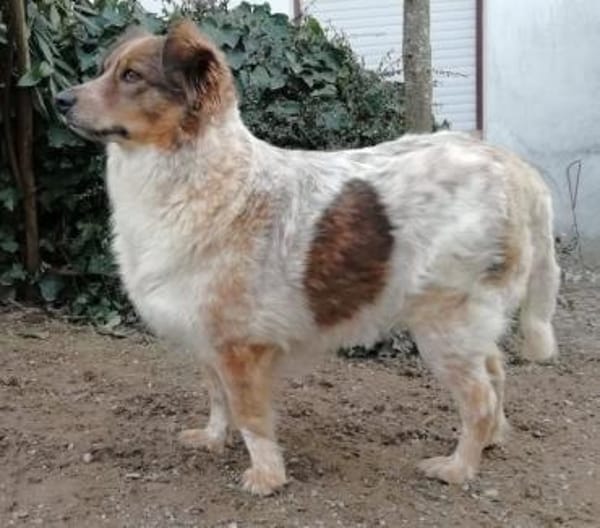 MERABA * sanfte ausgeglichene Lady
