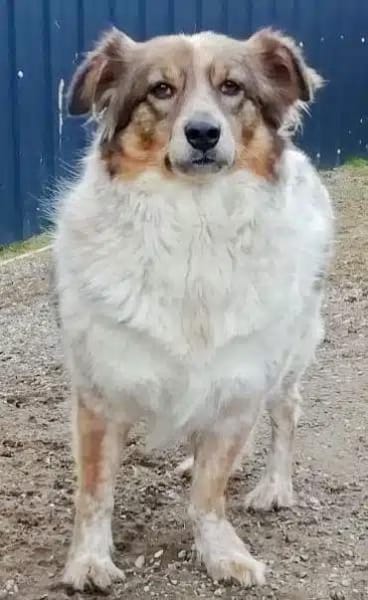 MERABA * sanfte ausgeglichene Lady