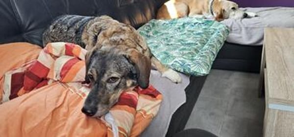 Milica sucht ihre Menschen