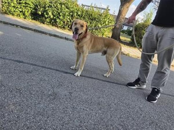 Mailo - Notfall: wartet in 92342 Freystadt