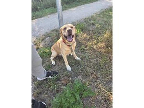 Mailo - Notfall: wartet in 92342 Freystadt