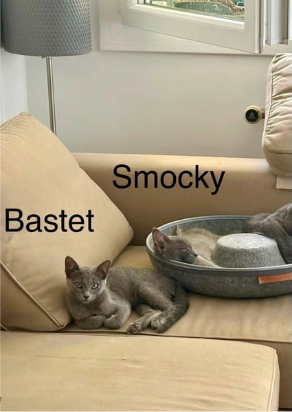 SMOCKY et BASTET