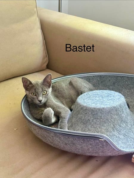 SMOCKY et BASTET