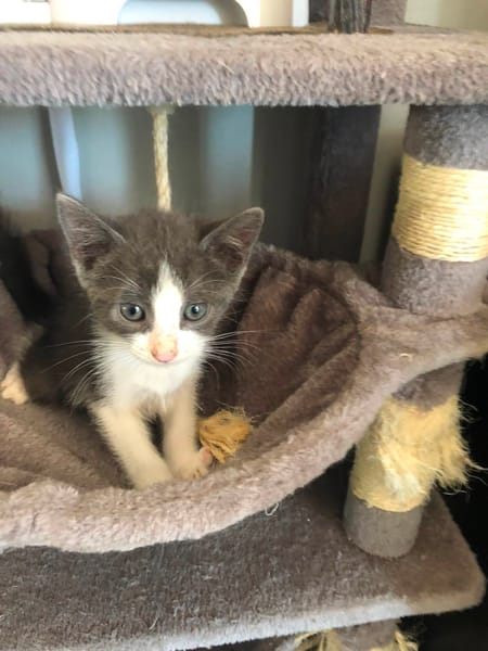BOUNTY**