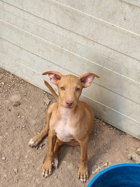 WINKY (Maria)